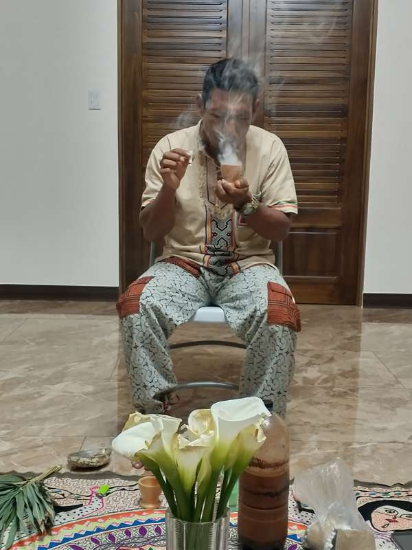 The Llerena Family Legacy and the Ayahuasca Tradition