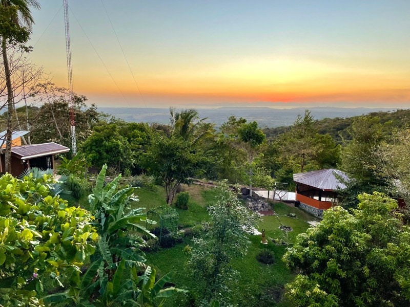 Garden view behind the house