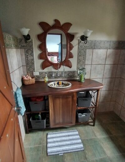 Lower level bathroom