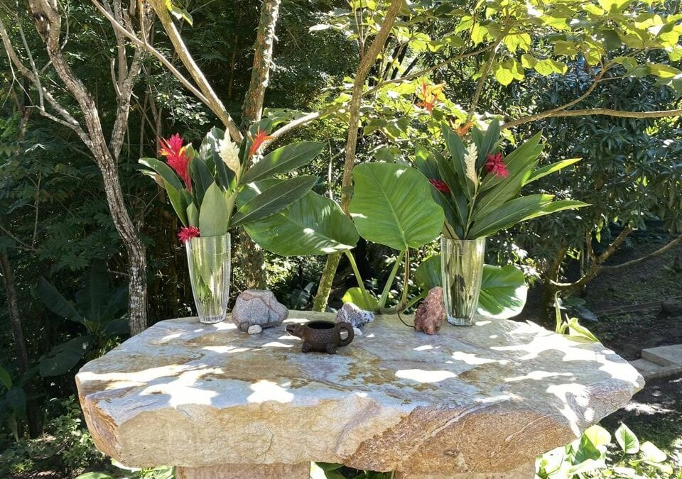 Your Ayahuasca Retreat Experience at Inti Wasi